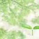 お一人で悩まれている方、お気軽にご相談下さい。