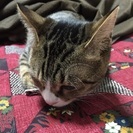 お友達、募集します。○女性限定○