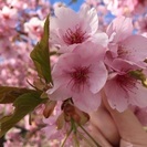 お友達、募集します。○女性限定○ - 高崎市