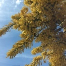 ✳︎除染作業員募集✳︎  (5名)  ✳︎即入寮可✳︎