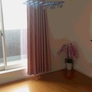 【女性限定】一戸建シェアハウス