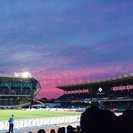 サッカー観戦