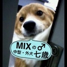 ※急募※