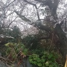 別荘地　売土地（古家未登記あり） - 淡路市