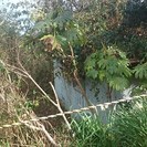 別荘地　売土地（古家未登記あり） − 兵庫県