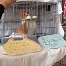 元気な男の子です☆