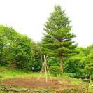 アースバックワークショップ【セルフビルドでつくる土の家】＠岩手　　9月7日(月)〜9月11日(金) - 八幡平市