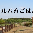 【7/26（日）】川越を歩こう！☆川越の蔵造りの街並みを歩いてみよう☆