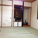 日本にお住まいの外国の方にキモノの着方をお教えしてます。留学生割...