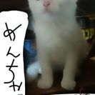 仮名 めんちゃん
