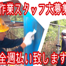 ≪短期×週払い≫簡単♪軽作業◇シフト自由◇リーダー時給1100円の画像