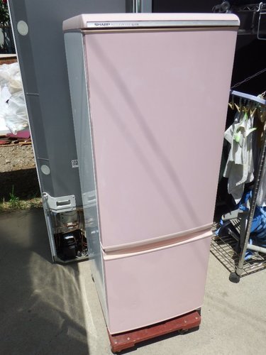 SHARP SJ-17K-Pシャープ 165L 2ドア冷蔵庫（シフォンピンク） (ピヒ丸 