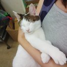 ボクはここです、お父さん、おかあさん、早くボクを見つけて！！