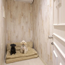 JR鶴見駅５分：トリマーさん（経験者）募集の画像