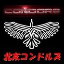【北友コンドルズ（草加市少年野球連盟所属）】部員募集！一緒に野球しませんか？ - スポーツ