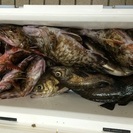 釣り友達募集です。