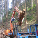 山で働く人と車！木の運びだし見学とクリスマスかざりづくり