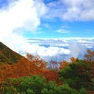 女性の登山・トレッキング仲間募集！