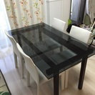 SOPHIA ソフィア ダイニングテーブル GUCCINI グッチーニ イスセットの画像