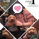 愛犬連れでお出かけ＆婚活友達募集♪