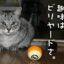ビリヤード友達（現在も募集なう）