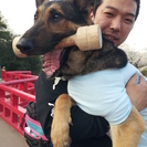 トレーニングからホテルまで、愛犬のお悩みご相談ください。