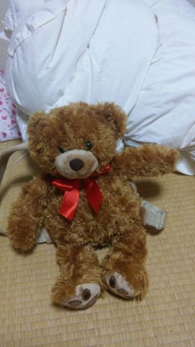 テディベアリュック