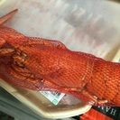 旬の食材で  - その他