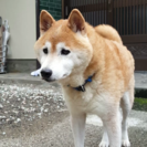 1/29　新しい家族が決まりました❗