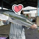 釣り仲間募集(^^♪