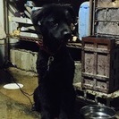 里親募集