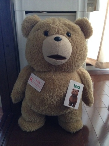 【成立しました。ありがとうございました。】TED おおきな喋るぬいぐるみ