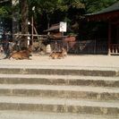 学生同士からもーin広島