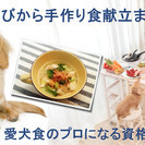 愛犬食のプロになる資格「ドッグレシピプランナー★★」ご自宅で受講...