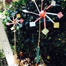 EMボカシ作り、空き缶の風車、ppテープの風車、オランダ釣りの仕掛けの作り方、自然薯のさがし方と掘り方、馬ぶどう酒の作り方、カブト虫.クワガタ虫の探し方、芹.タラの芽.山うどの探し方、銀杏の処理の仕方、等四季折々の遊び方の実践講習教室です。の画像