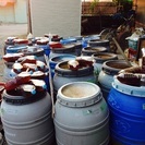 EMボカシ作り、空き缶の風車、ppテープの風車、オランダ釣りの仕掛けの作り方、自然薯のさがし方と掘り方、馬ぶどう酒の作り方、カブト虫.クワガタ虫の探し方、芹.タラの芽.山うどの探し方、銀杏の処理の仕方、等四季折々の遊び方の実践講習教室です。の画像