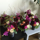 お花を楽しむ教室フラリパ