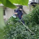 便利屋☆WAAO    不用品積み放題ﾊﾟｯｸ   ￥19800より - 八潮市