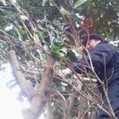 便利屋☆WAAO    不用品積み放題ﾊﾟｯｸ   ￥19800より − 埼玉県