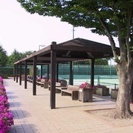 【草加公園テニスコートを10面とって大規模開催します！くじ引きダブルスゲーム！！！】 - スポーツ