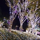 クリスマスは二人で過ごしたい・・・そんなあなたのためのプレクリス...