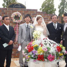 結婚式　イベントなど演出用の白鳩リース業です。