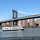 ニューヨーク発！国際ウェルネス・アンチエイジング講座の画像