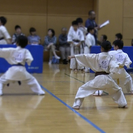 【双方向動画学習】！お家に居ながら極真カラテが学べる「おうち道場」の画像