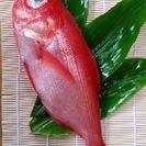 伊豆下田産キンメ
