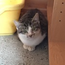 早めの募集お願いします。 − 茨城県