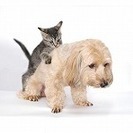 ★アパレルネットショップのお仕事です★パソコンの出来る方歓迎♪の画像