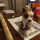 母親が事故で亡くなってしまいました