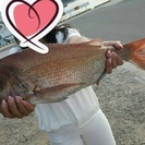 釣り仲間募集^_^ - 神戸市