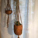 マクラメグリーンハンギングワークショップ